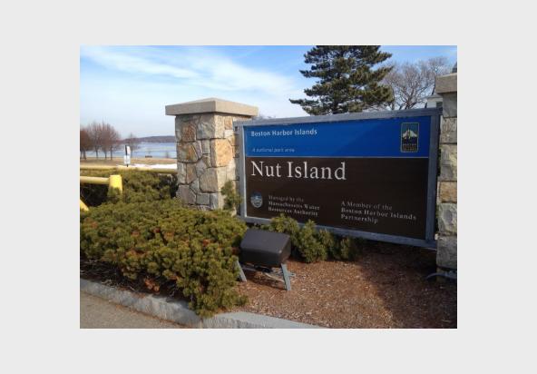 Nut Island